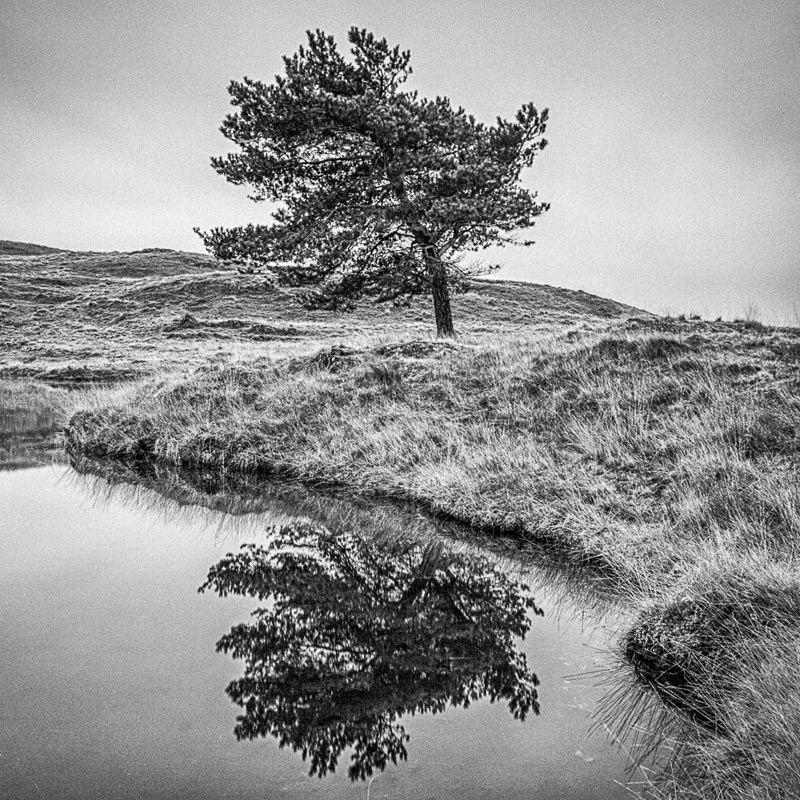 Kelly Hall Tarn 13 - Waterscapes