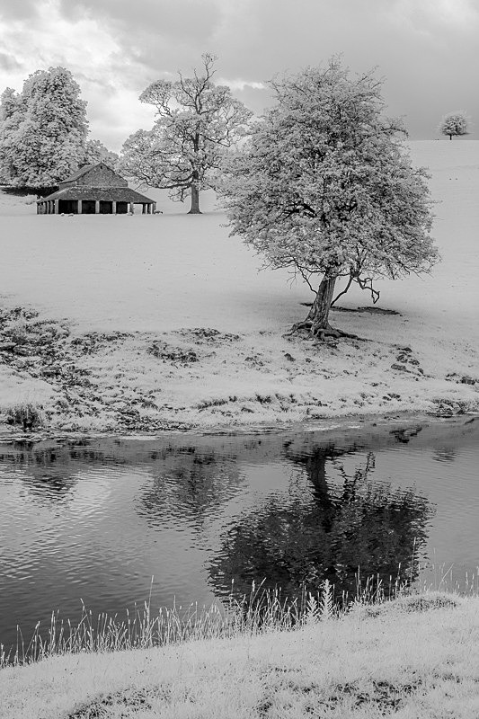 Dallam Deer Shelter 01 - Infra Red