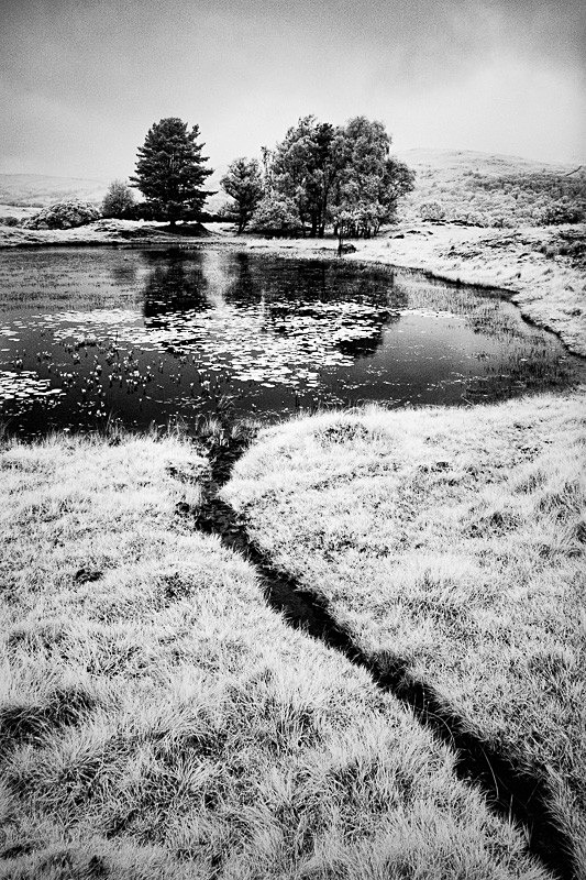 Kelly Hall Tarn 07 - Infra Red