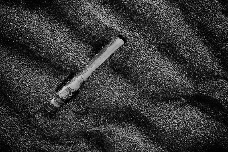 Razor Clam 01 - A Closer Look