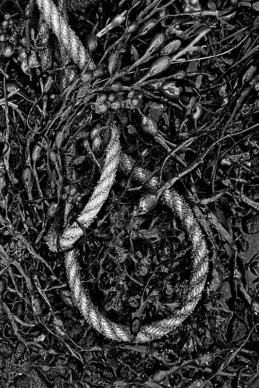 On the Wrack - A Closer Look