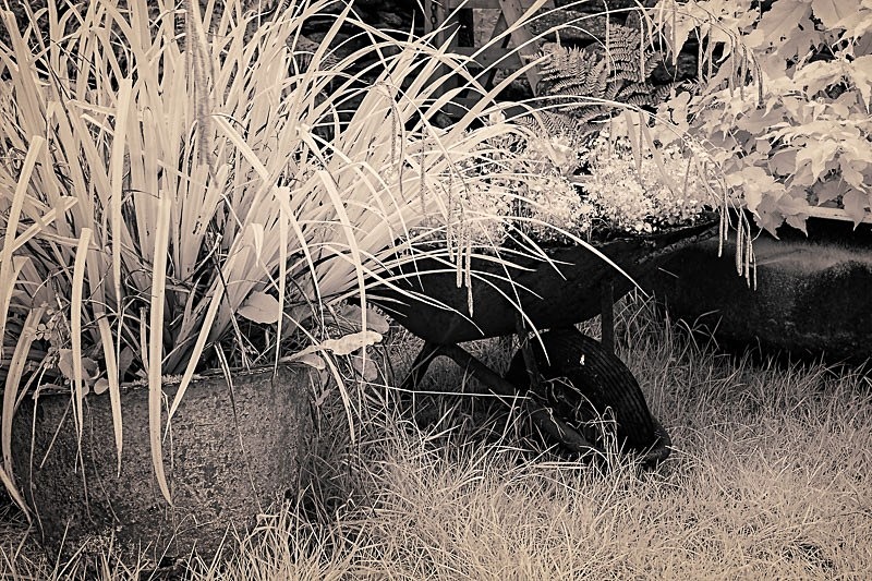 Wheelbarrow 01 - Infra Red
