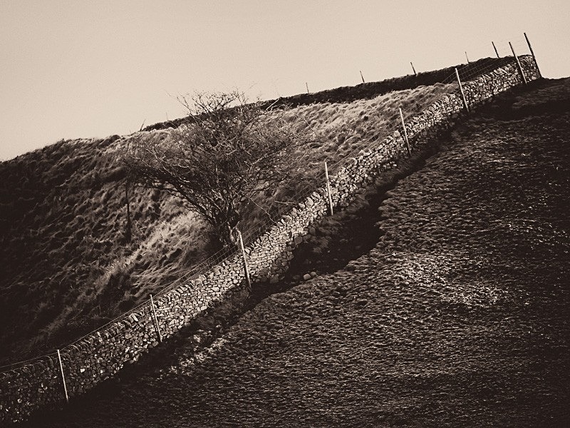 Wigglesworth 01 - Landscapes