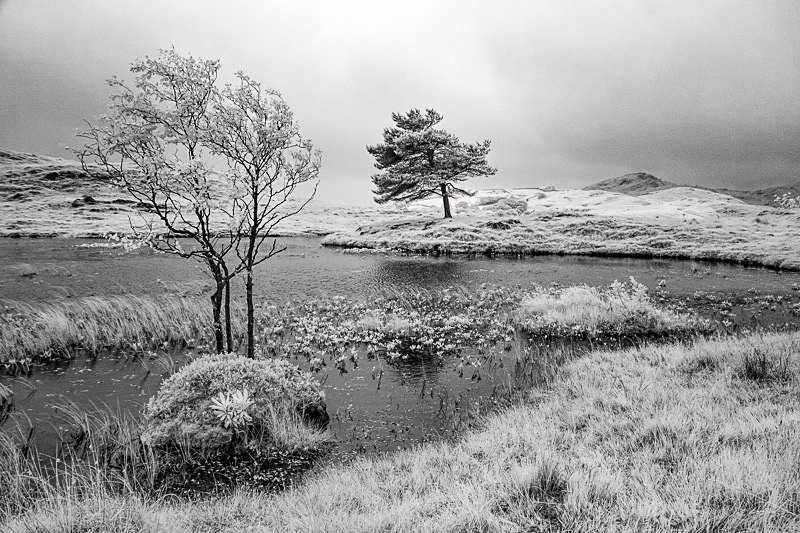 Kelly Hall Tarn 09 - Infra Red