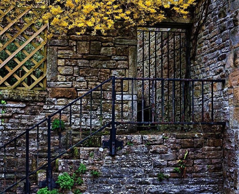 Cottage Steps C - Colour