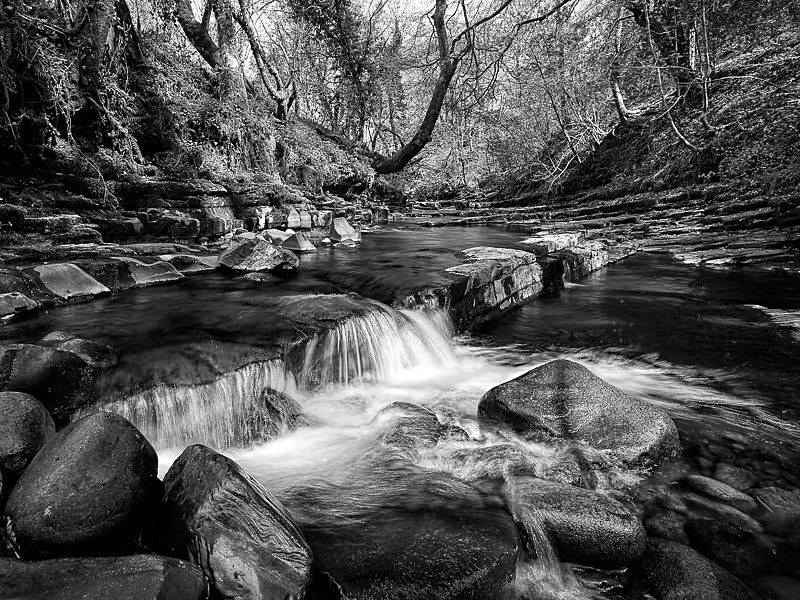 Brock Bottom 01 - Waterscapes