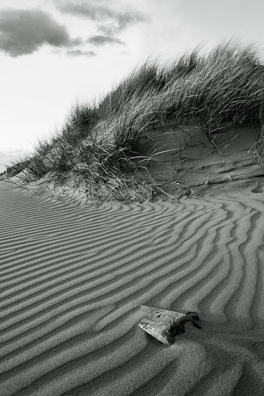 Dunescape 02 - Dunescape