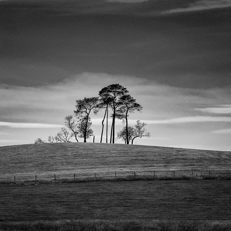 Gildard Hill 03 - Landscapes
