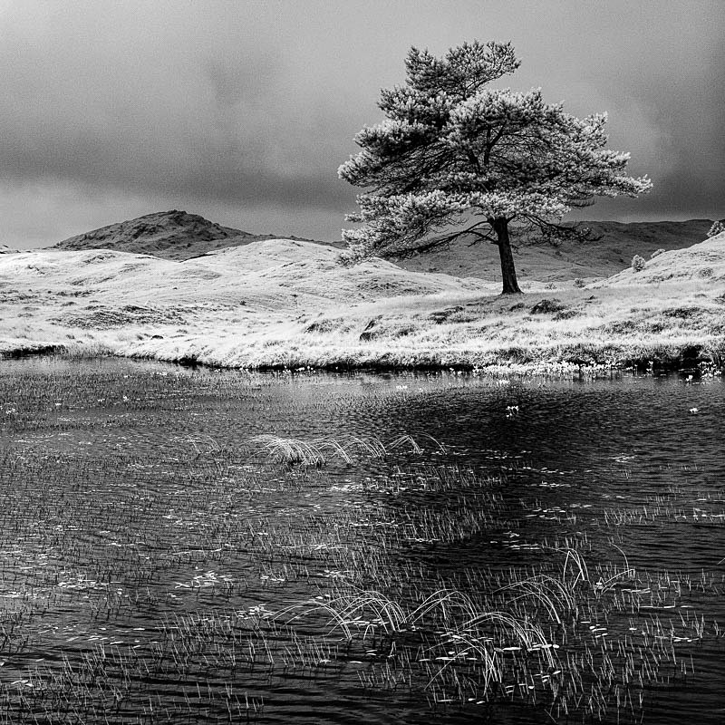 Kelly Hall Tarn 05 - 13 Squared