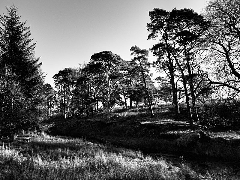 Marshaw Wyre 03 - Landscapes