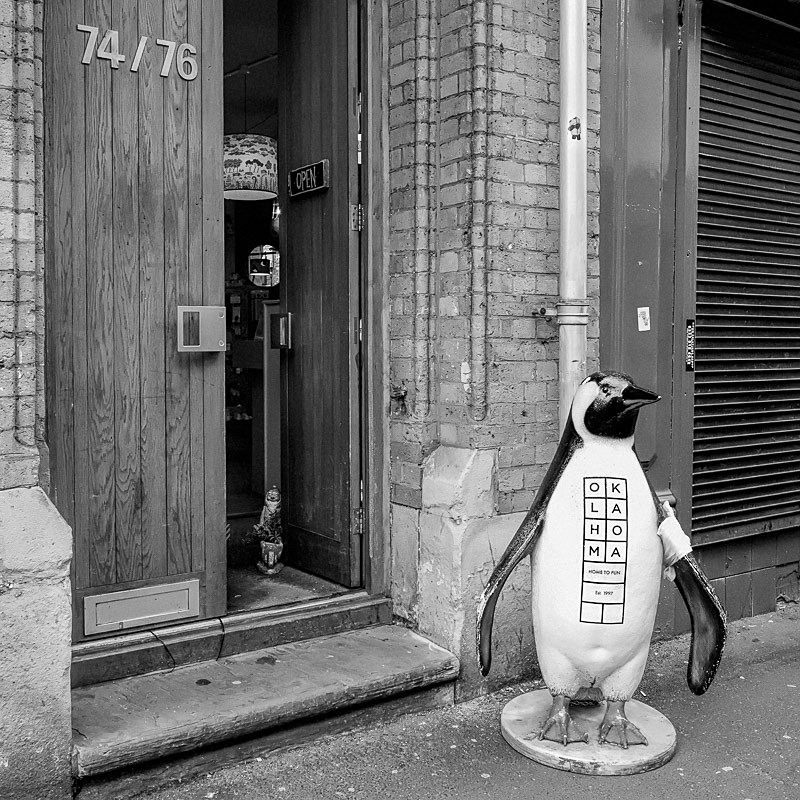 Penguin OK - Man-Made