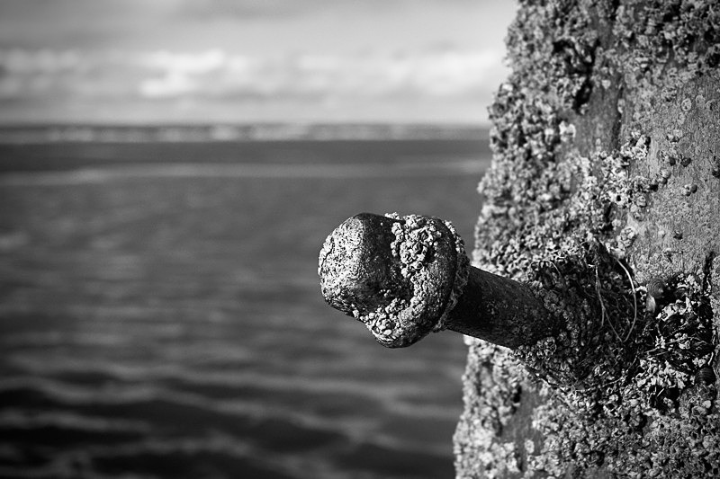 Encrusted Bolt - A Closer Look