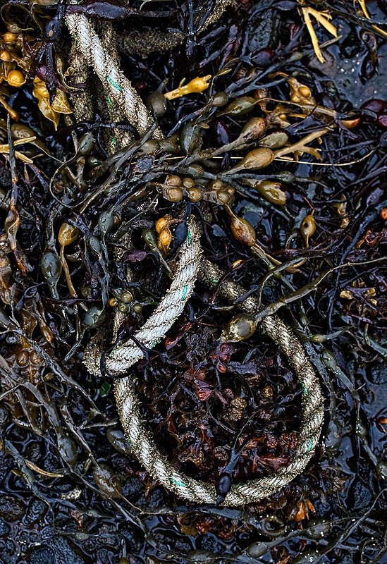 On the Wrack C - Colour