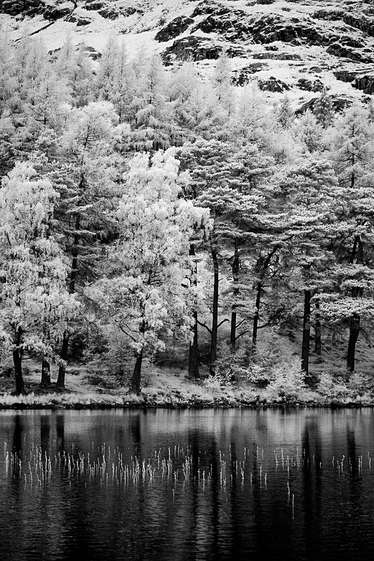 Blea Tarn 04 - Infra Red