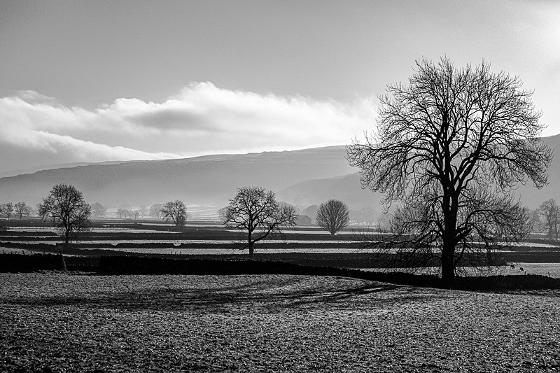 Littondale 04 - Landscapes