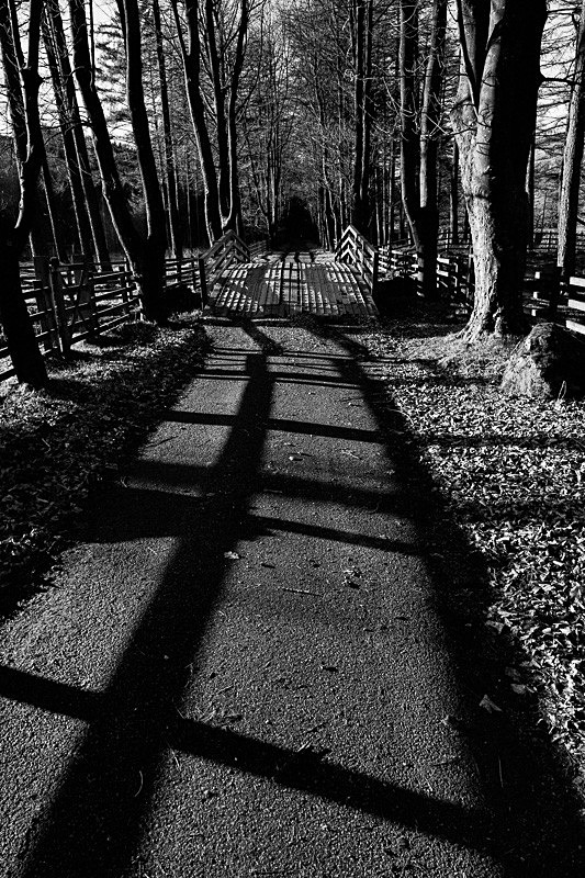 Langden Walk 02 - Landscapes