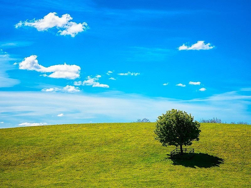 Bentha Hill 01 C - Colour