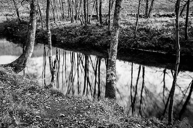 White Coppice 001 - Waterscapes