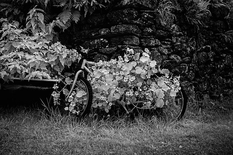 Monocycle 01 - Infra Red
