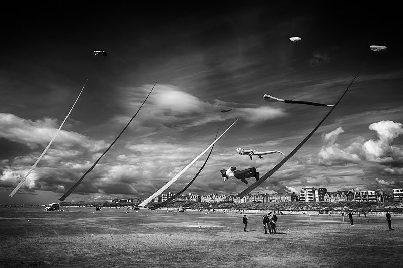 Kite Festival 005 - Kite Festival