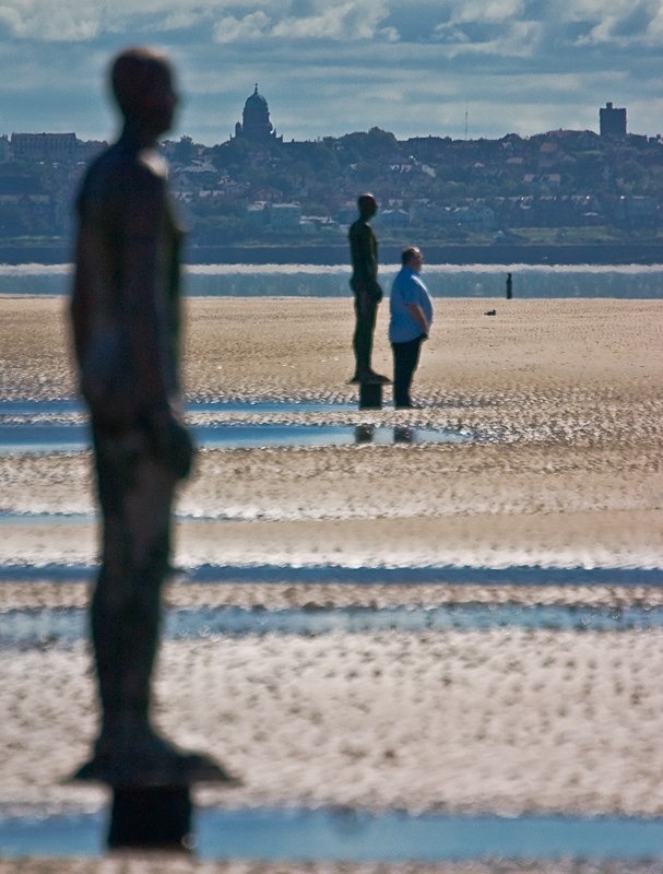 Fine Figures C - Colour