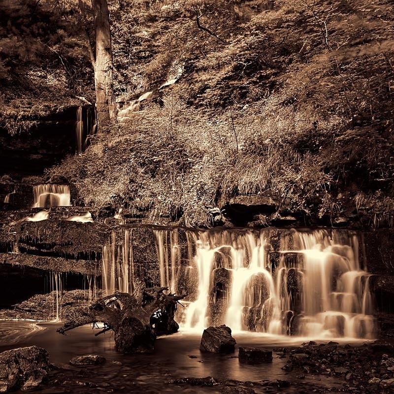 Scaleber Force 03 - Waterscapes