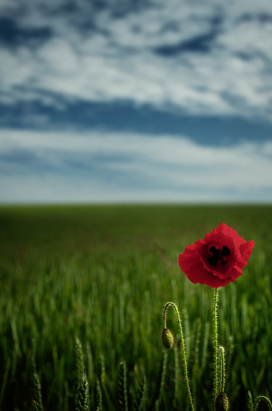 All alone - The South Coast of England