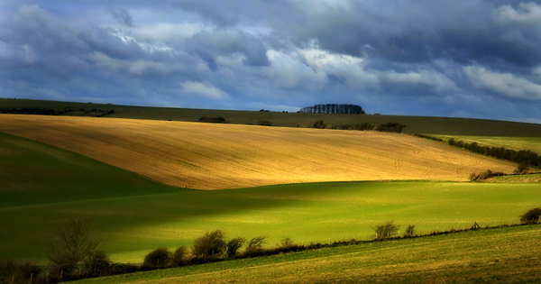 Glimpse of Sunlight - The South Coast of England