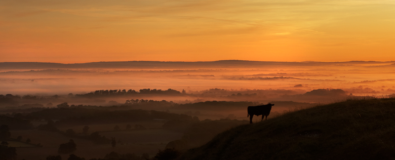 The Weald - The South Coast of England