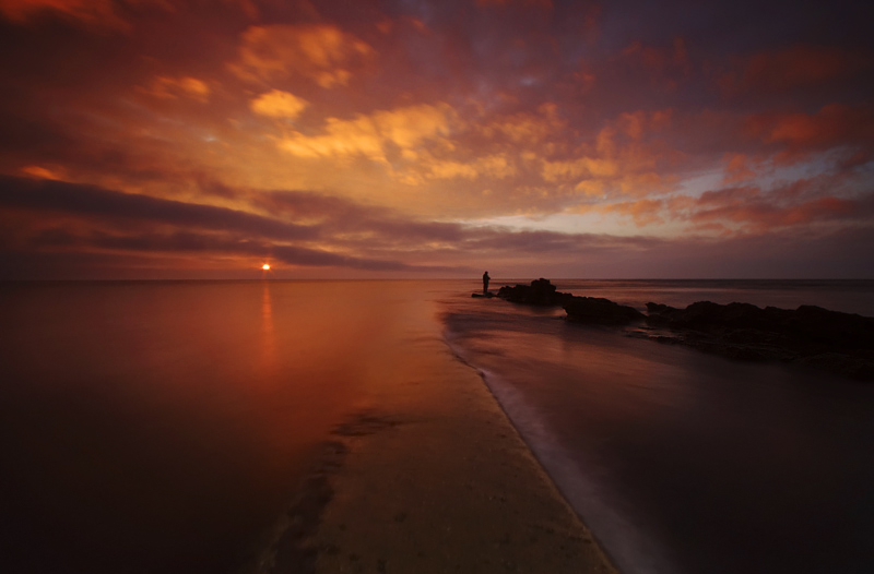 Morning Fish - Hampshire, Dorset and Devon