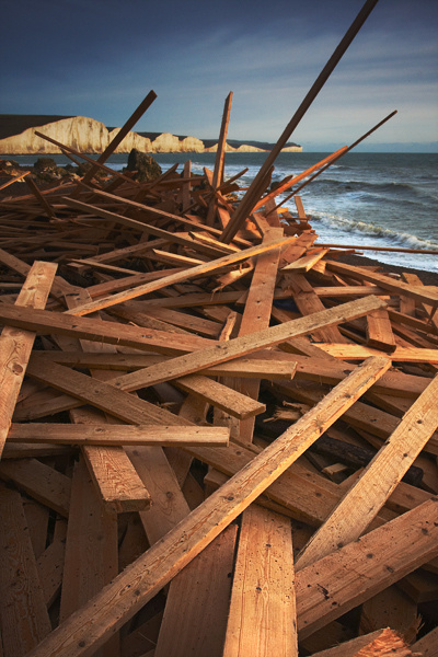 Wood You Believe It! - The South Coast of England