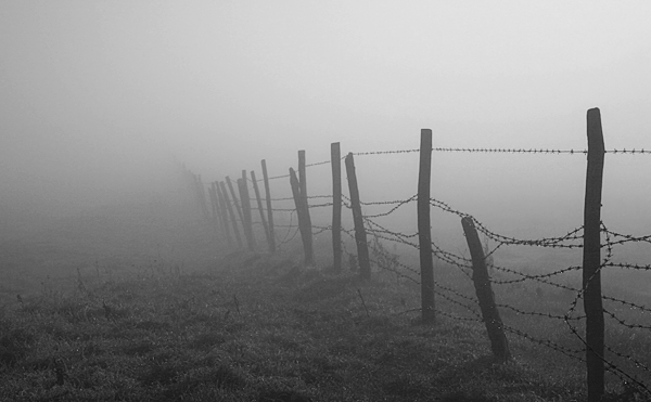 Foggy Fence - The South Coast of England