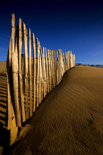 Fenced In - The South Coast of England