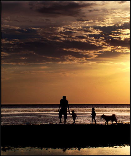  - Funky Silhouettes  ...