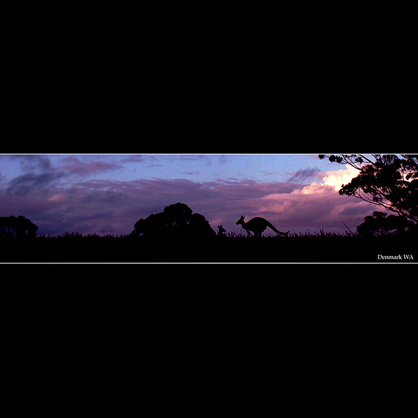  - Funky Silhouettes  ...