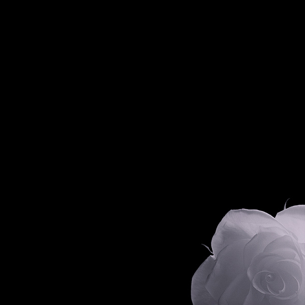  - Funky Flowers ...