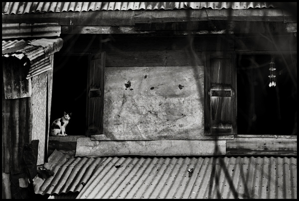  - Funky Mono...
