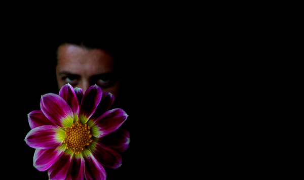  - Funky Flowers ...