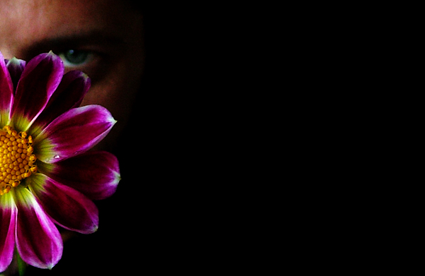 - Funky Flowers ...