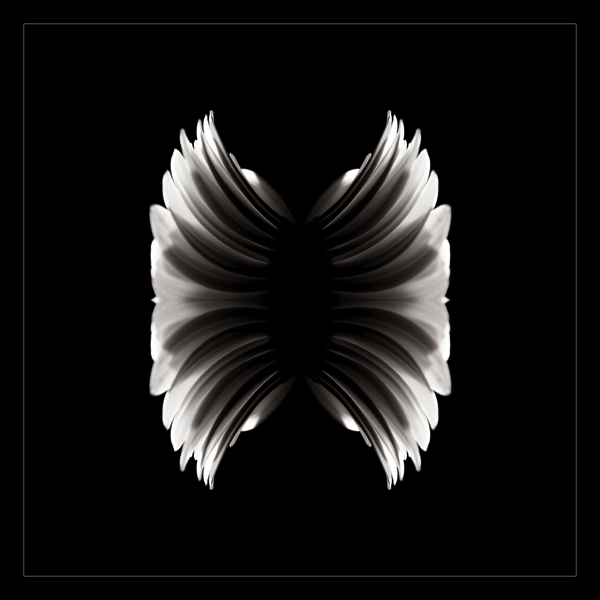  - Funky Flowers ...