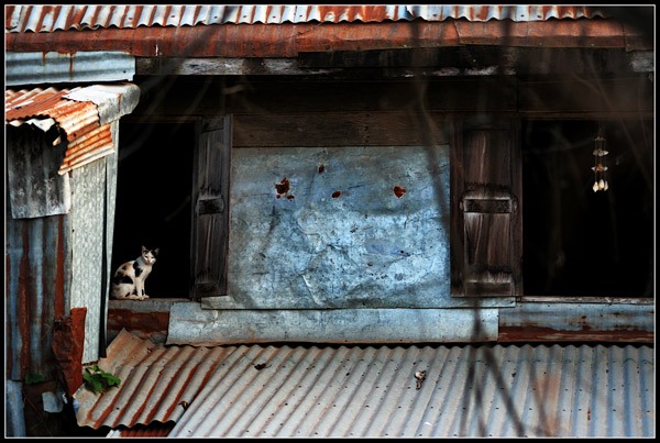  - Funky Thailand