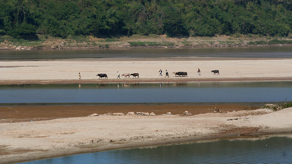  - Funky Laos