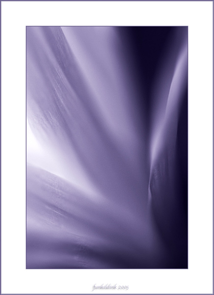  - Funky Flowers ...