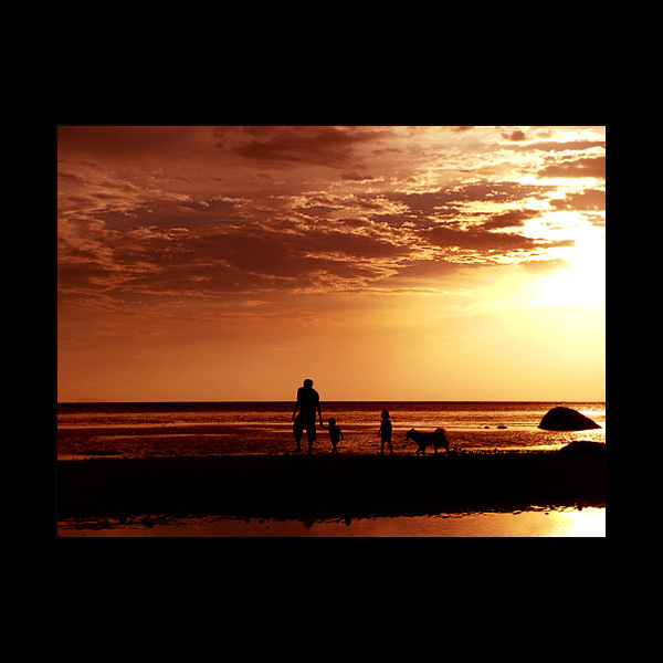  - Funky Silhouettes  ...