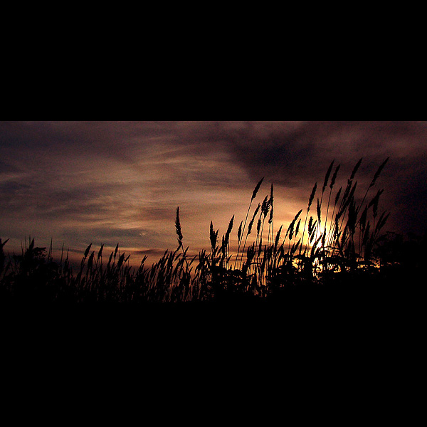  - Funky Silhouettes  ...