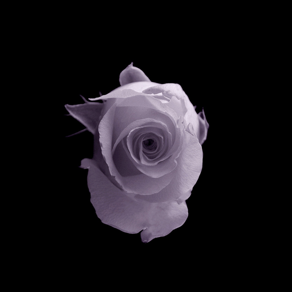  - Funky Flowers ...