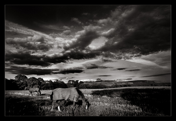  - Funky Mono...