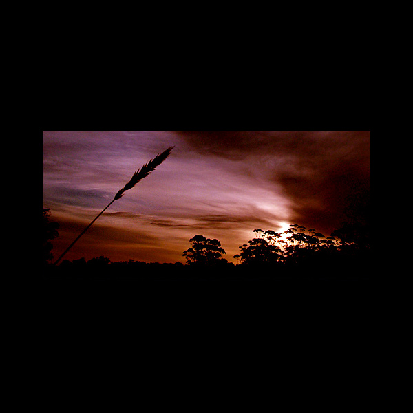  - Funky Silhouettes  ...