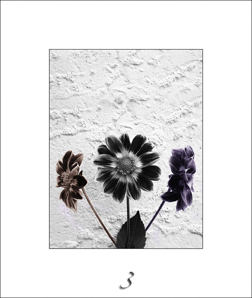  - Funky White ...