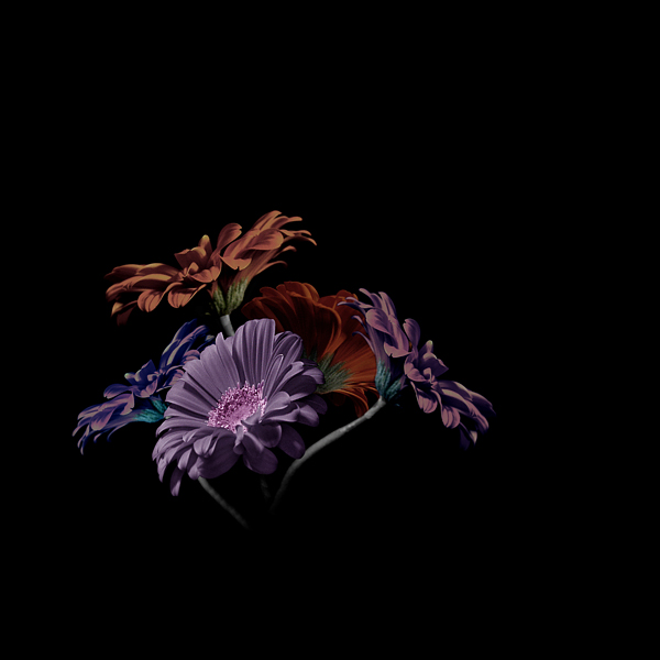  - Funky Flowers ...